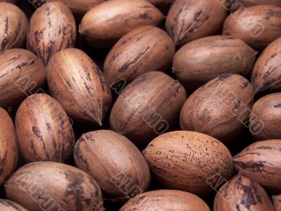 Whole Pecans In The Shell