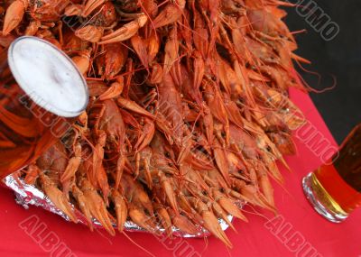 Crayfishes and beer