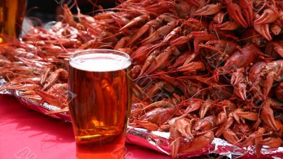 Mug of beer and crayfishes