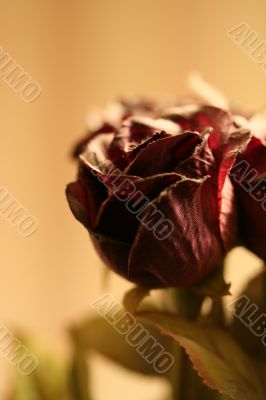 Paper Rose