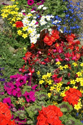 Flowers in all colors. Flowers in all colors.