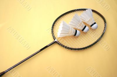 badminton racket and shuttlecocks
