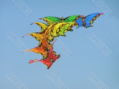multiple butterfly kite
