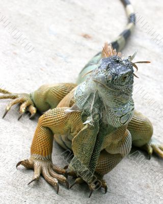 eeeeeeeeeeeee eeeeeeeeeeeee