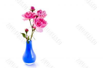 Little vase with roses