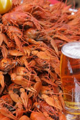 Mug of beer and crayfishes