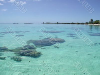 Bora Bora Ocean