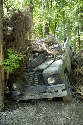 carcrash in the bush