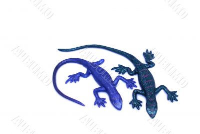 Rubber lizards. Rubber lizards.