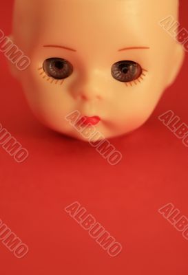 Doll Face Macro Doll Face Macro