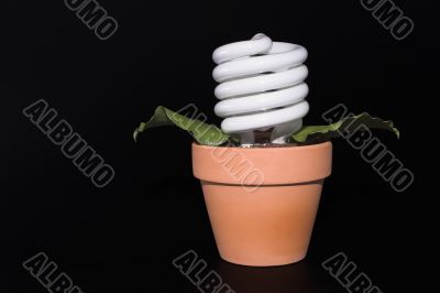 Light Bulb Potted Plant