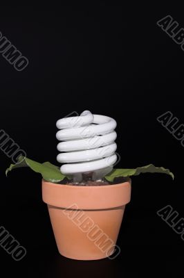 Light Bulb Potted Plant