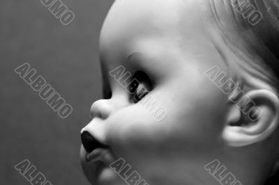 Doll Profile