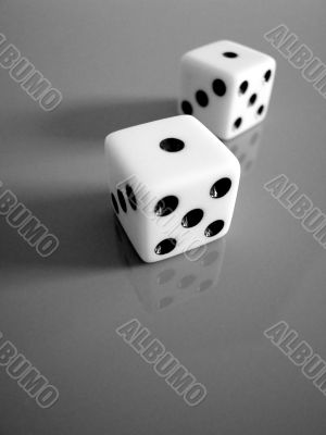 Snake Eyes Black and Whote Snake Eyes Black and Whote