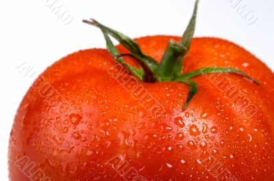 macro of tomato