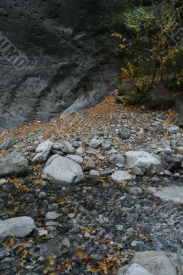 Dark shadows, stream bed