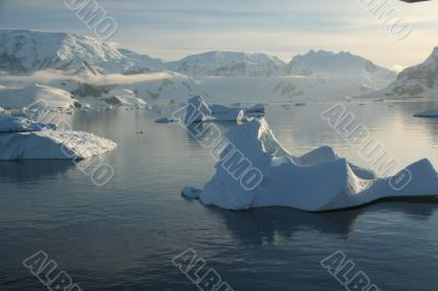 Icebergs,  mirrored in ocean