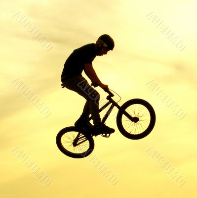 bicycle freestyle