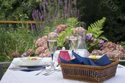 Dinner in the garden