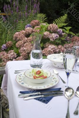 Dinner in the garden