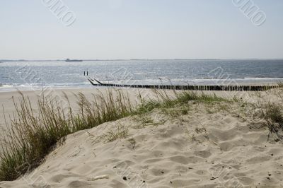 a dune at the beach