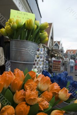 Tulips for sale Tulips for sale
