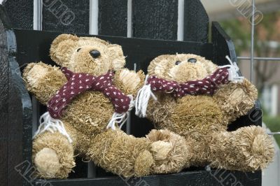 two brown bears two brown bears