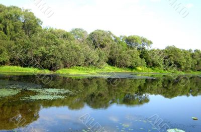 Landscape with the lake