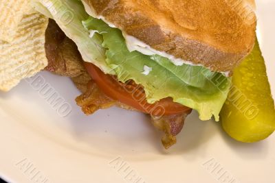 blt sandwhich