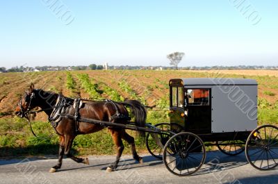 Amish Wagon