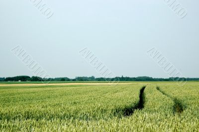 Landscape-with-spur Landscape-with-spur