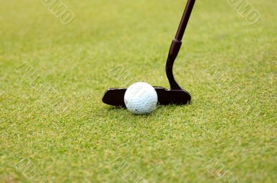 Golr Putter Golr Putter