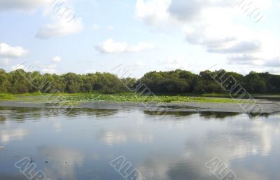 Landscape with the lake