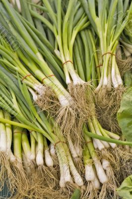 Fruit & vegetables Fruit & vegetables