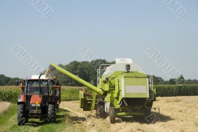 Mechanical harvest