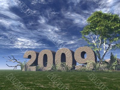2009 2009