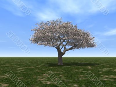 tree tree