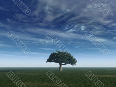 peaceful peaceful