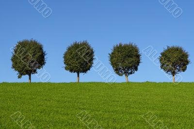 Green fields and trees