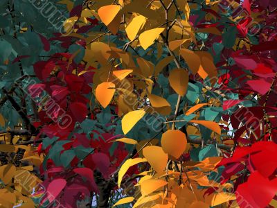 foliage foliage
