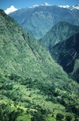 Steep, terraced valley