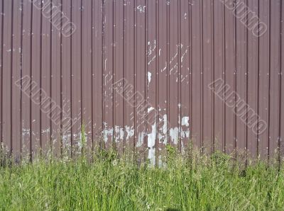 Weeds Grow in Front of Brown Wall