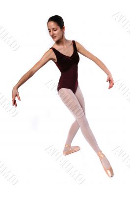 Ballet Dancer