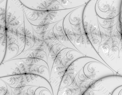 Spider Web Spider Web