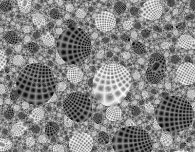 Sea Shells Sea Shells
