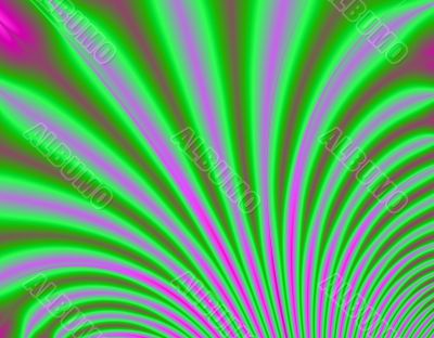 Palm Leaves