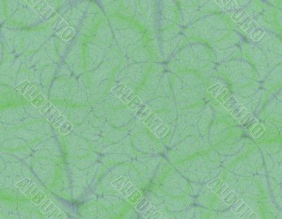 Green Leather Green Leather
