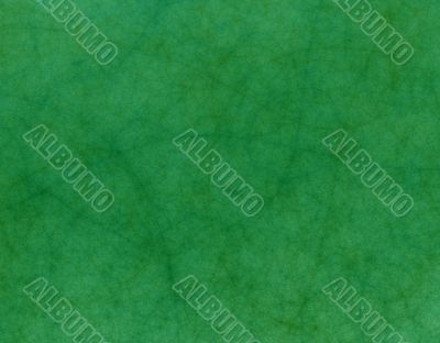 Green Leather Green Leather