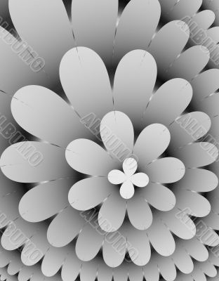 flower Petals
