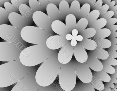 flower Petals